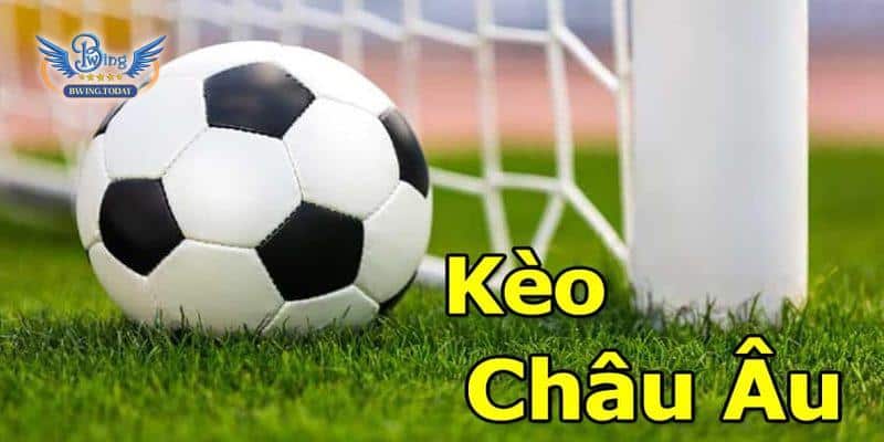 Kèo châu Âu Và Những Thông Tin Thú Vị Nhất 2023 Hướng dẫn đọc kèo bóng đá châu Âu chuẩn nhất hiện nay